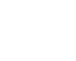 Into The New Reality
